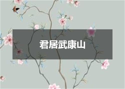 君居武康山