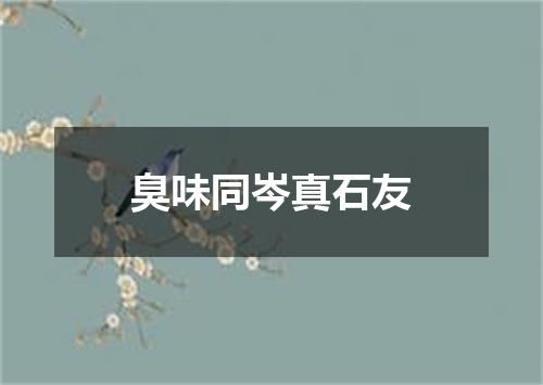 臭味同岑真石友