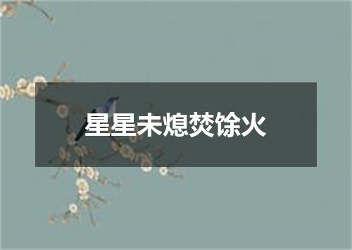 星星未熄焚馀火