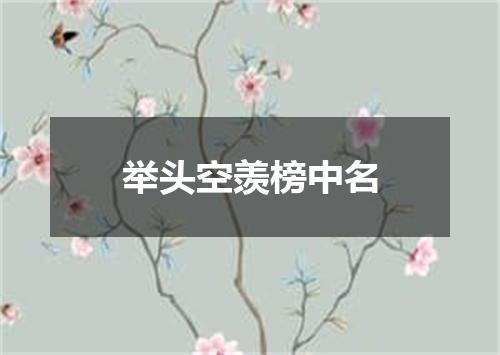 举头空羡榜中名