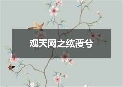 观天网之纮覆兮