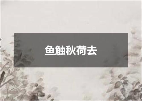 鱼触秋荷去