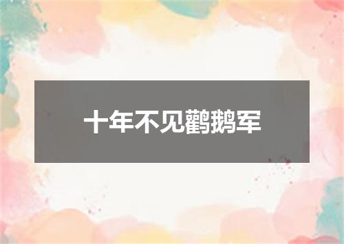 十年不见鹳鹅军
