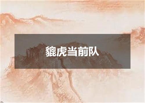 貔虎当前队