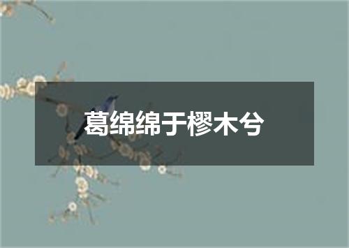 葛绵绵于樛木兮