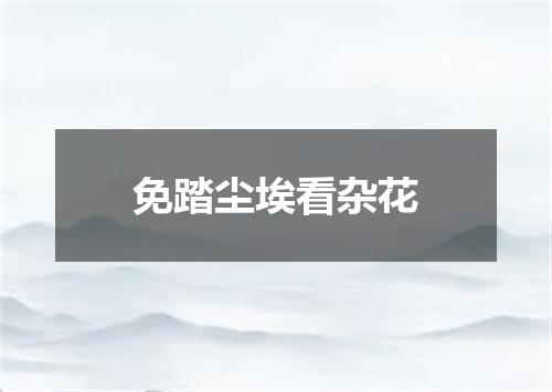 免踏尘埃看杂花