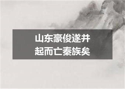 山东豪俊遂并起而亡秦族矣
