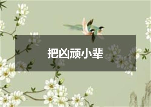 把凶顽小辈