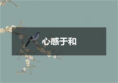 心感于和