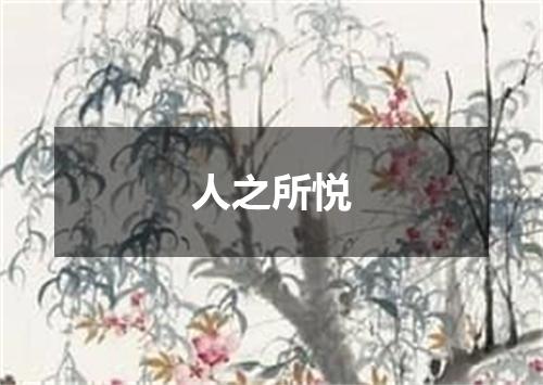 人之所悦