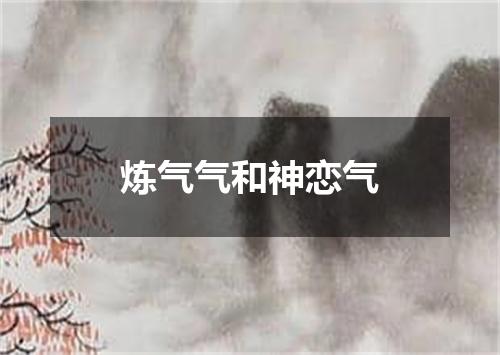 炼气气和神恋气