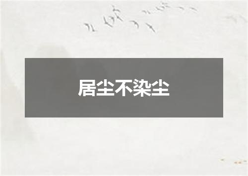 居尘不染尘