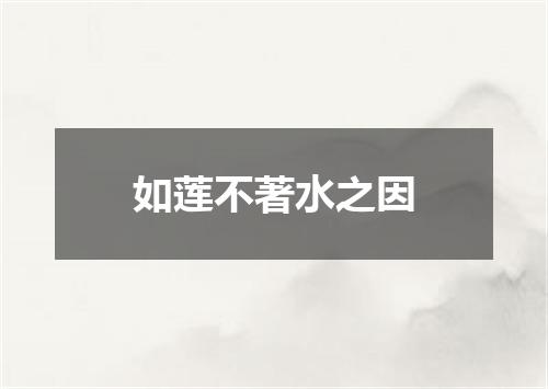 如莲不著水之因