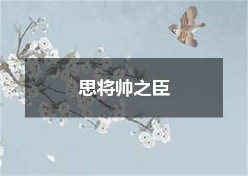 思将帅之臣