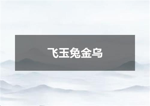 飞玉兔金乌