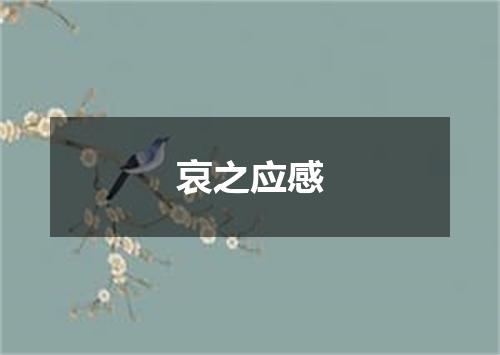 哀之应感
