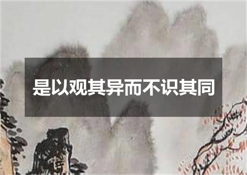 是以观其异而不识其同