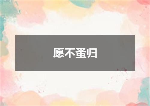 愿不蚤归