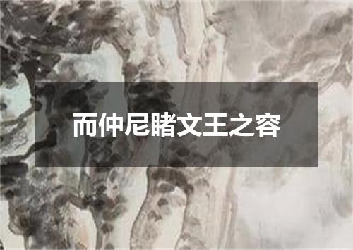 而仲尼睹文王之容