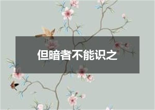 但暗者不能识之