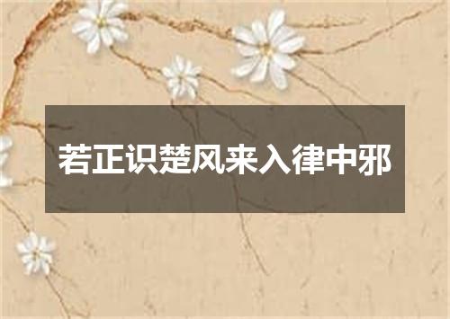 若正识楚风来入律中邪