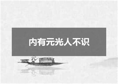 内有元光人不识