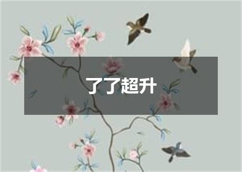 了了超升
