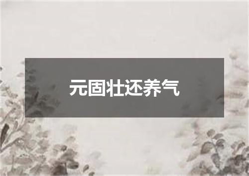 元固壮还养气