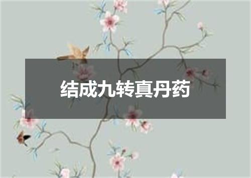 结成九转真丹药
