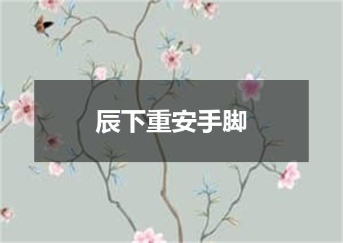 辰下重安手脚