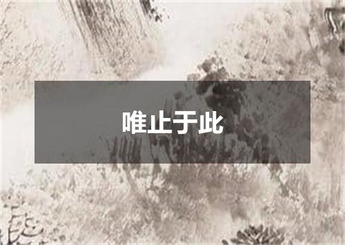 唯止于此