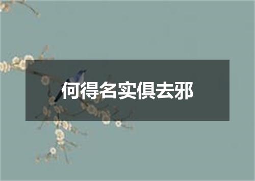 何得名实俱去邪