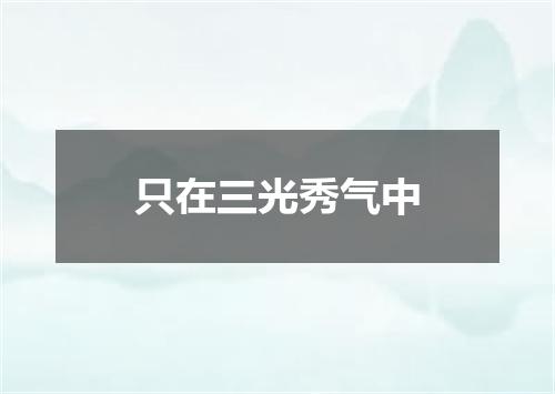 只在三光秀气中