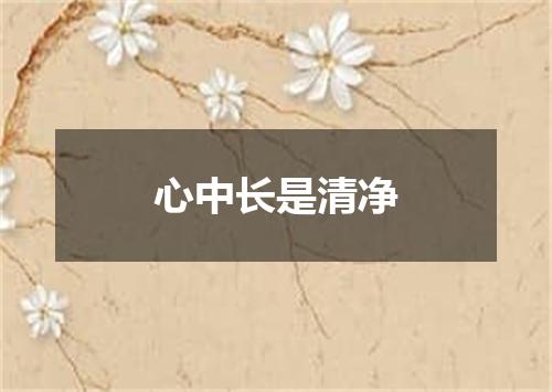 心中长是清净