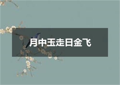 月中玉走日金飞