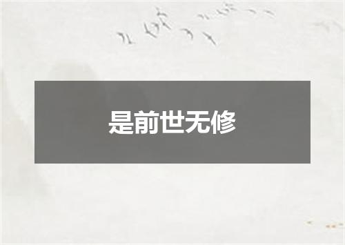 是前世无修