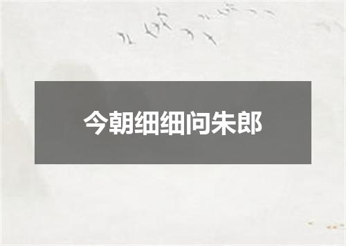 今朝细细问朱郎