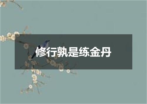 修行孰是练金丹