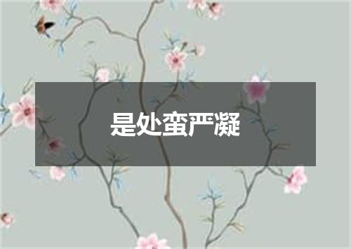 是处蛮严凝