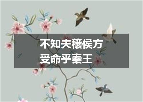 不知夫穣侯方受命乎秦王