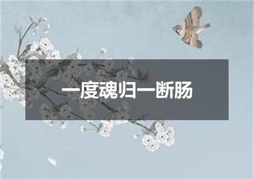一度魂归一断肠