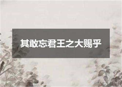 其敢忘君王之大赐乎