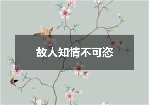 故人知情不可恣