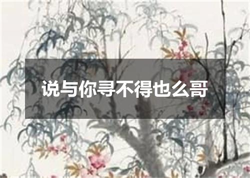 说与你寻不得也么哥