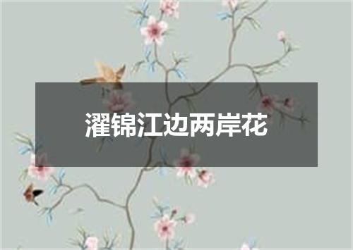 濯锦江边两岸花