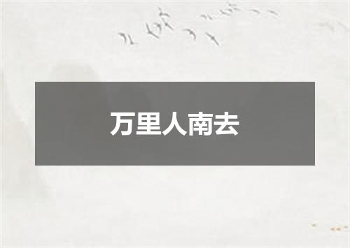 万里人南去