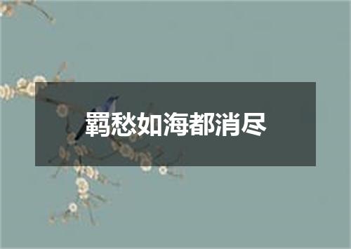 羁愁如海都消尽