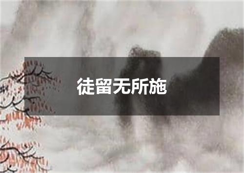 徒留无所施