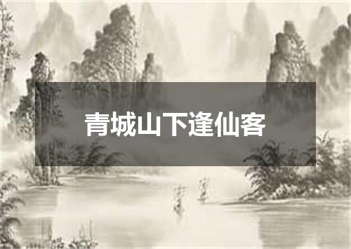 青城山下逢仙客