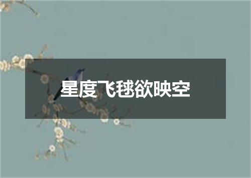 星度飞毬欲映空